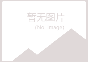 延安晓夏能源有限公司